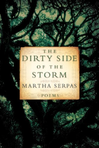 Dirty Side of the Storm Poems N/A 9780393331431 Front Cover