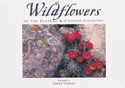 Wildflowers of the Plateau and Canyon Country Twenty Postcards N/A 9780944197431 Front Cover
