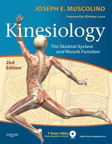 Kinesiology The Skeletal System and Muscle Function 2nd 2011 9780323069441 Front Cover