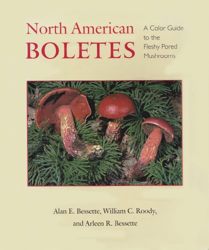 North American Boletes A Color Guide to the Fleshy Pored Mushrooms  2010 9780815632443 Front Cover