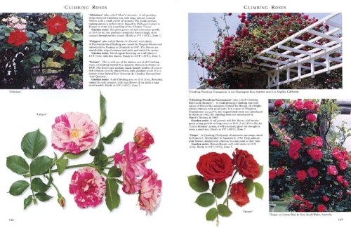 Best Rose Guide A Comprehensive Selection  2004 9781552978443 Front Cover