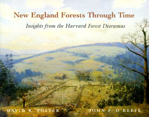 New England Forests Through Time Insights from the Harvard Forest Dioramas  2000 9780674003446 Front Cover