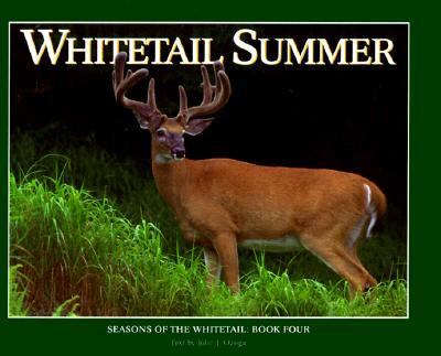 Whitetail Summer  Teachers Edition, Instructors Manual, etc.  9781572230446 Front Cover