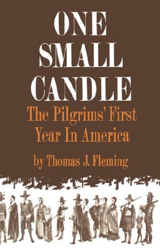 One Small Candle The Pilgrims' First Year in America N/A 9780393334449 Front Cover