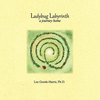 Ladybug Labyrinth  N/A 9780976205449 Front Cover