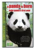 Panda Is Born / Baby Panda's First Year  (Double Feature) System.Collections.Generic.List`1[System.String] artwork