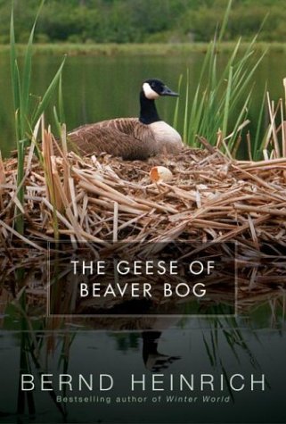 Geese of Beaver Bog   2004 9780060197452 Front Cover