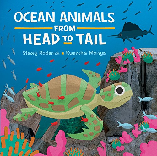 Ocean Animals from Head to Tail   2016 9781771383455 Front Cover