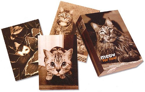 Meow for Now Small Note Cards N/A 9780307236456 Front Cover