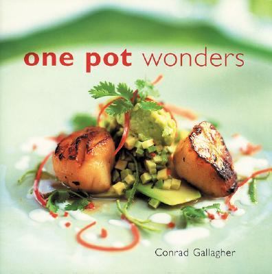 One Pot Wonders   2001 9780809294459 Front Cover
