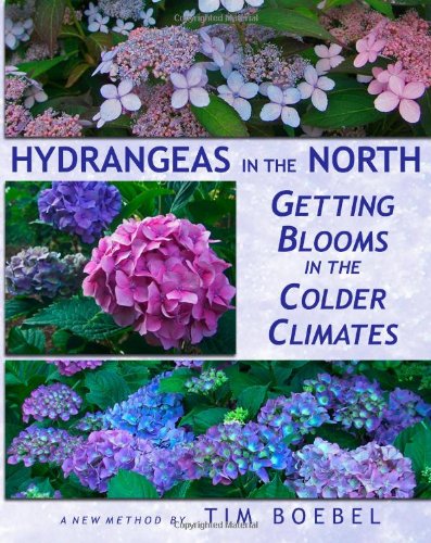 Hydrangeas in the North Getting Blooms in the Colder Climates  2011 9781456583460 Front Cover