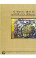 Copan: The Rise and Fall of an Ancient Maya Kingdom 1st 2005 9780495158462 Front Cover