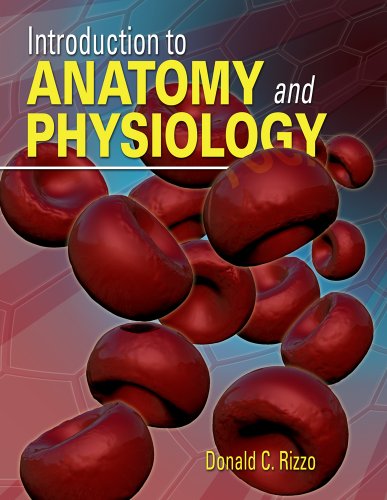 Study Guide for Rizzo's Introduction to Anatomy and Physiology   2012 9781111138462 Front Cover