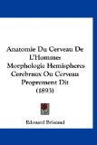 Anatomie du Cerveau de L'Homme Morphologie Hemispheres Cerebraux Ou Cerveau Proprement Dit (1893) N/A 9781160987462 Front Cover