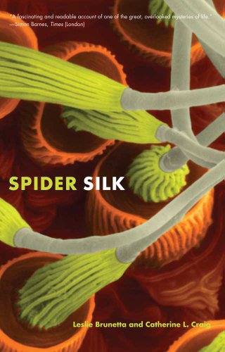 Spider Silk Evolution and 400 Million Years of Spinning, Waiting, Snagging, and Mating  2012 9780300181463 Front Cover