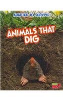 Animals That Dig:   2014 9781410961464 Front Cover