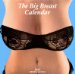 Big Breasts 2012 Wall Calendar  N/A 9783836529464 Front Cover