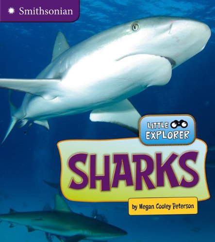 Sharks:   2013 9781476502465 Front Cover