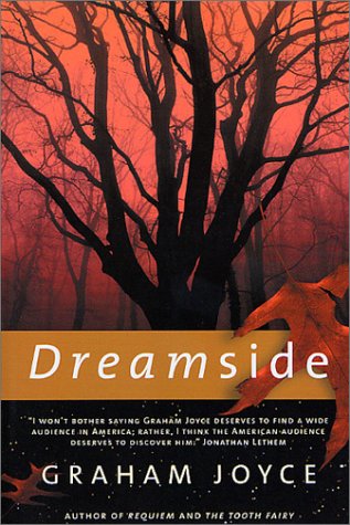 Dreamside  Revised  9780312875466 Front Cover