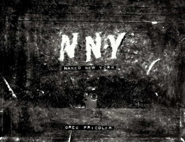 Naked New York   1997 9780393316469 Front Cover