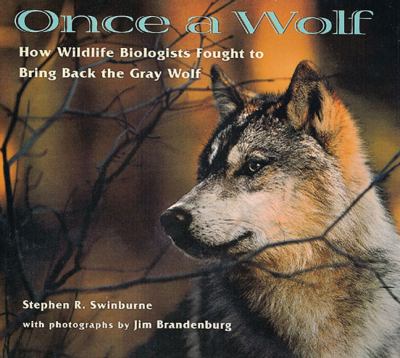 Once a Wolf How Wildlife Biologists Fought to Bring Back the Gray Wolf N/A 9780613355469 Front Cover