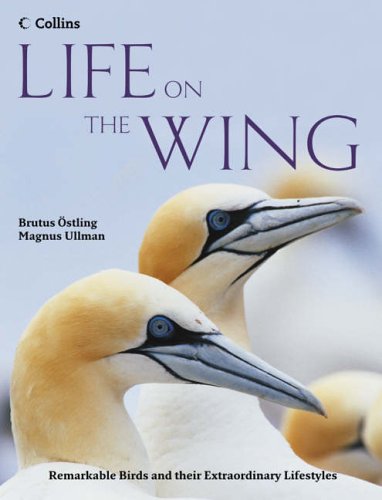 Life on the Wing: Remarkable Birds and their Extraordinary Lifestyles N/A 9780007240470 Front Cover