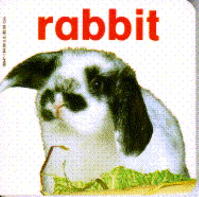 Rabbit : Baby Animal N/A 9780553095470 Front Cover