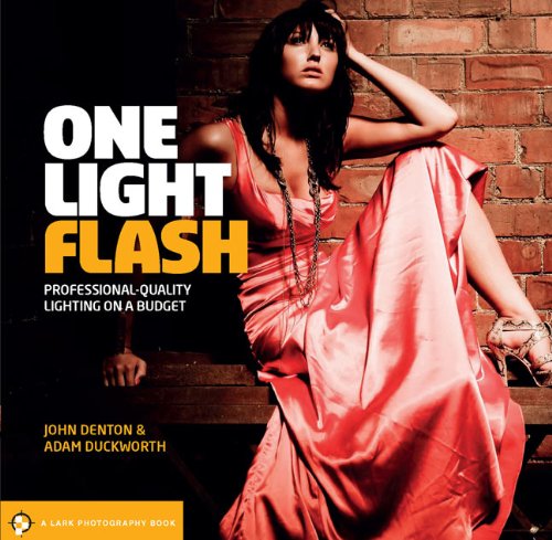 One Light Flash Professional-Quality Lighting on a Budget  2011 9781454703471 Front Cover