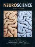 Neuroscience 5e + Neurons in Action 2:  2011 9780878936472 Front Cover
