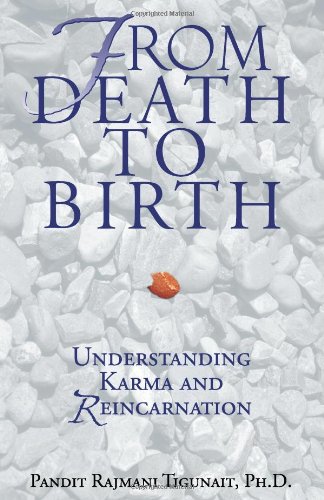 From Death to Birth Understanding Karma and Reincarnation  1997 9780893891473 Front Cover