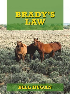 Brady's Law  2004 9781587248474 Front Cover