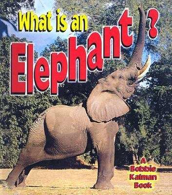 What Is an Elephant?  N/A 9780613508476 Front Cover