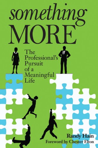 Something More: A Professional's Pursuit of a Meaningful Life  2013 9780764822476 Front Cover