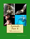 Animals Part 4 Mammals N/A 9781491002476 Front Cover