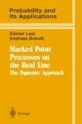 Marked Point Processes on the Real Line The Dynamical Approach  1995 9780387945477 Front Cover