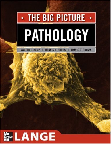 Pathology: the Big Picture   2008 9780071477482 Front Cover