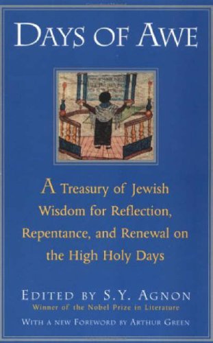 Days of Awe A Treasury of Jewish Wisdom for Reflection, Repentance, and Renewal on the High Holy Days N/A 9780805210484 Front Cover