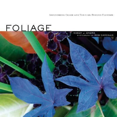 Foliage Astonishing Color and Texture Beyond Flowers  2007 9781580176484 Front Cover