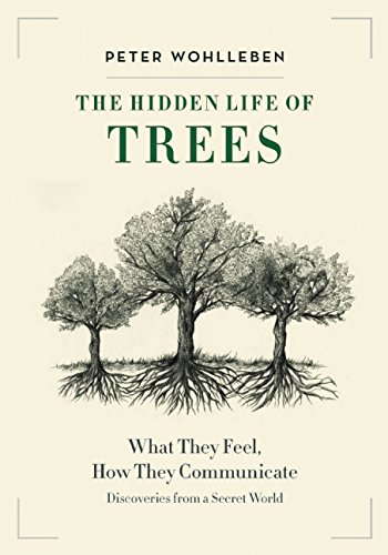 Hidden Life of Trees What They Feel, How They Communicate--Discoveries from a Secret World  2016 9781771642484 Front Cover