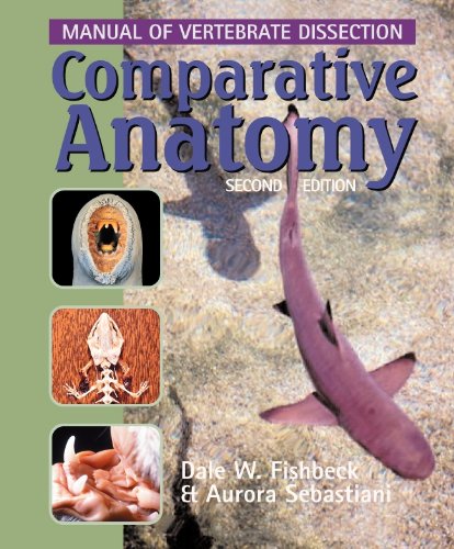 Comparative Anatomy Manual of Vertebrate Dissection 2nd 2008 9780895827487 Front Cover
