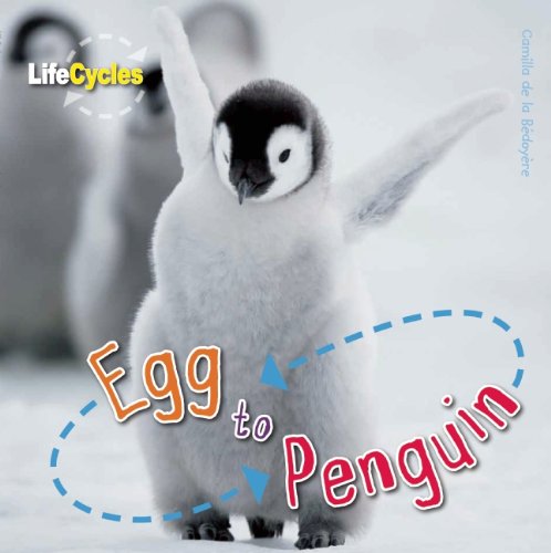 Egg to Penguin   2013 9781609920487 Front Cover