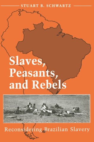 Slaves, Peasants, and Rebels Reconsidering Brazilian Slavery  1992 9780252065491 Front Cover
