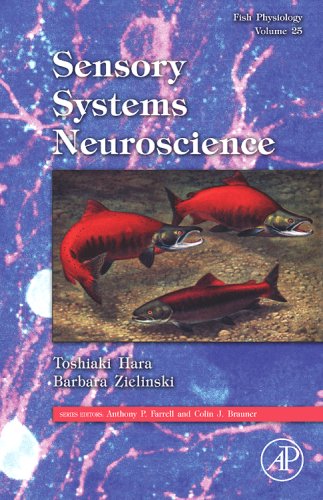 Fish Physiology: Sensory Systems Neuroscience   2007 9780123504494 Front Cover