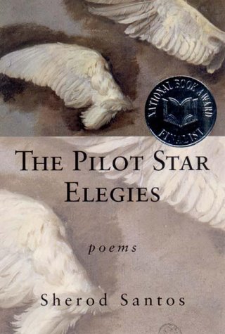 Pilot Star Elegies Poems N/A 9780393320497 Front Cover
