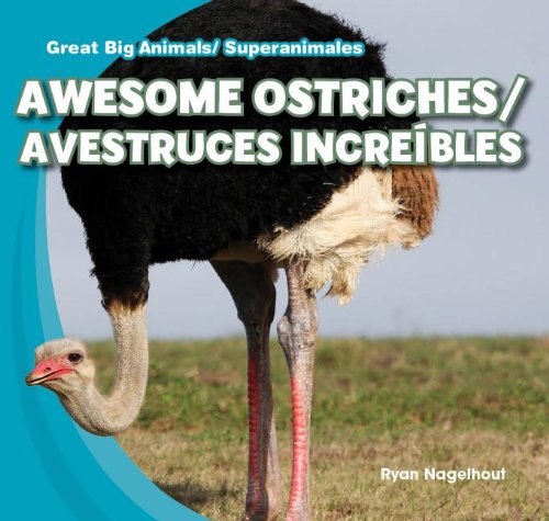 Awesome Ostriches / Avestruces Increfbles:   2013 9781433994500 Front Cover