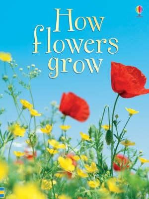 How Flowers Grow  2006 9780746074503 Front Cover
