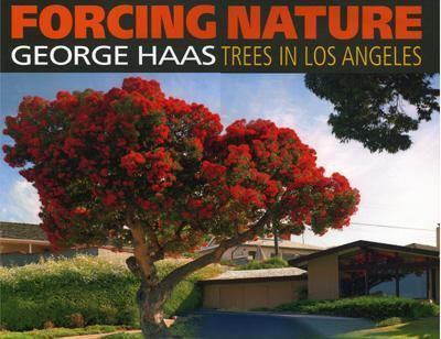 Forcing Nature Trees in Los Angeles N/A 9781593730505 Front Cover