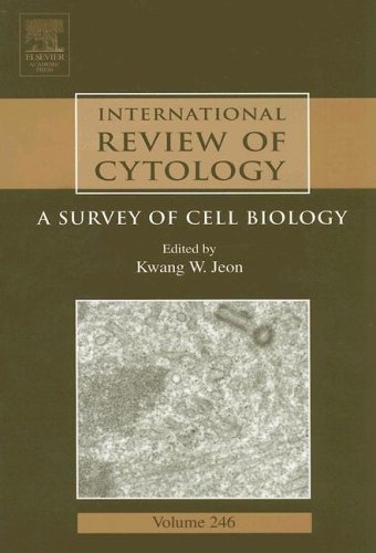 International Review of Cytology A Survey of Cell Biology  2005 9780123646507 Front Cover