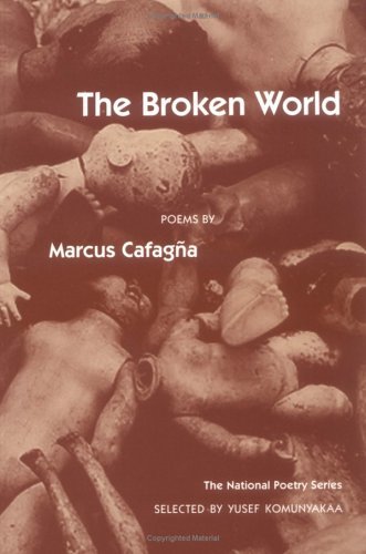 Broken World Poems  1996 9780252065507 Front Cover