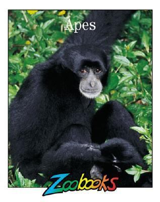 Apes   2001 9781888153507 Front Cover